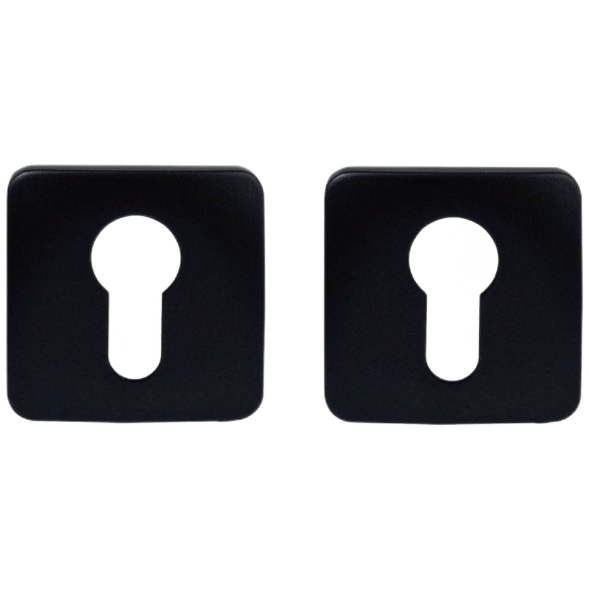 Накладка под цилиндр Colombo Design Rosetta OneQ CC23 титан 2 шт